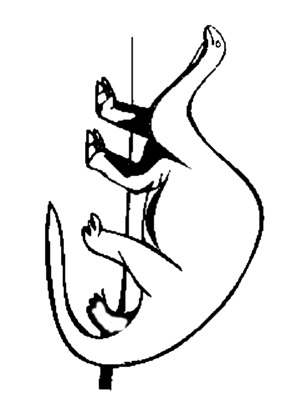 Click to print dinosaur coloring page.